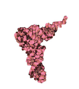 tRNA molecule